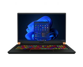 MSI GS75 10SGS 610 Stealth 