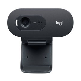 Webcam Logitech C505 HD Webcam Logitech C505 HD
