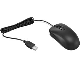 Lenovo Basic - Ratón - diestro y zurdo - óptico - 3 botones - cableado - USB - negro - FRU