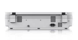 Epson WorkForce DS-50000 - Escáner de sobremesa - CCD - A3/Ledger - 600 ppp x 600 ppp - USB 2.0