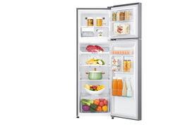 LG GT29BDC nevera y congelador Independiente 254 L Plata