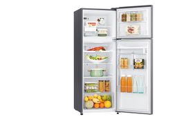 LG GT29WDC nevera y congelador Independiente 254 L Plata