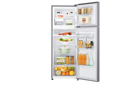 LG GT29WDC nevera y congelador Independiente 254 L Plata