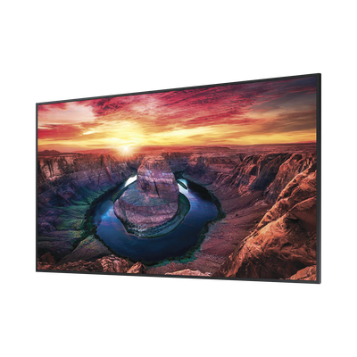 Pantalla Profesional LED de 43