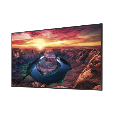 Pantalla Profesional LED de 65