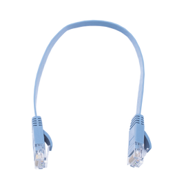 Cable Patchord RJ45 30 Cm