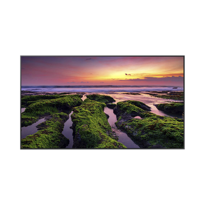 Pantalla Profesional LED de 55