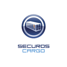 Licencia de Reconocimiento de Número de Contenedor SecurOS CARGO, por flujo de Cámara