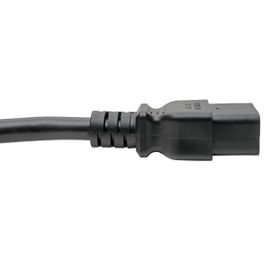 CABLE TRIPP LITE P049-010 C19 to NEMA 5-20P - Heavy-Duty, 20A  3.05 m