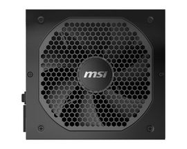 MSI MPG A650GF - Fuente de alimentación (interna) - ATX12V / EPS12V - 80 PLUS Gold - CA 100-240 V - 650 vatios - PFC activa