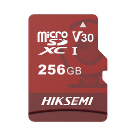 Memoria microSD / Clase 10 de 256 GB / Especializada Para Videovigilancia (Uso 24/7) / Compatibles con cámaras HIKVISION y Otras Marcas / 95 MB/s Lectura / 55 MB/s Escritura