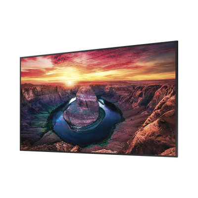 Pantalla Profesional LED de 43