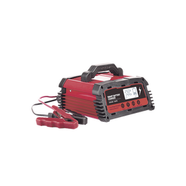 Cargador de Baterías / 12 o 24 Vcc / hasta 250 Ah / 25 A / Display LCD