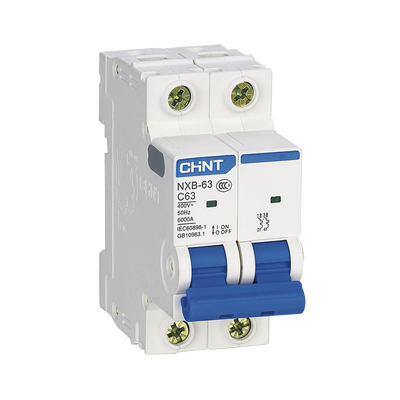 Pastilla para Riel Din, 2 Polos, 20 Amp, Vca:110/415v, 6kA, Catálogo: NXB632PC20, Serie: NXB-63.