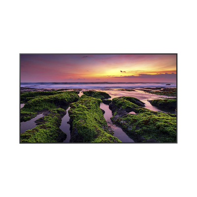 Pantalla Profesional LED de 50