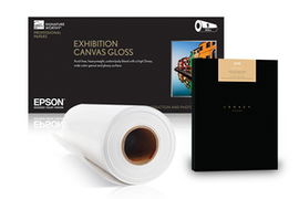 Epson - Brillo - Rollo (20,3 cm x 54,1 m) 2 bobina(s) papel fotográfico brillante - para SURELAB D870; SURELAB SL D700, D700 HPV IC
