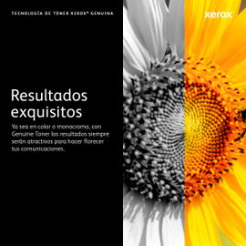Xerox Cartucho de tóner cián de gran capacidad (8000 páginas*)