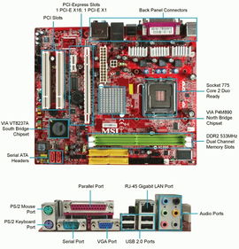 MSI P4M890M-L placa base LGA 775 (Socket T) micro ATX MSI P4M890M-L placa base LGA 775 (Socket T) micro ATX