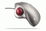 Logitech TrackMan Wheel ratón USB Type-A + PS/2 Óptico