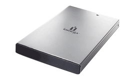 Iomega Silver Series Hard Drive - 120GB disco duro externo Gris
