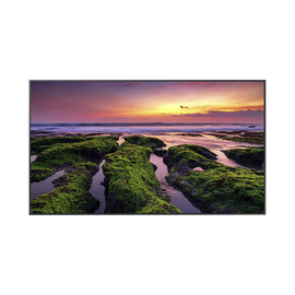 Pantalla Profesional LED de 55