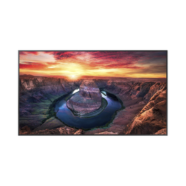 Pantalla Profesional LED de 55