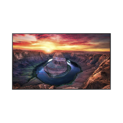 Pantalla Profesional LED de 75
