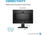 HP V20 HD+ - Monitor LCD - 20