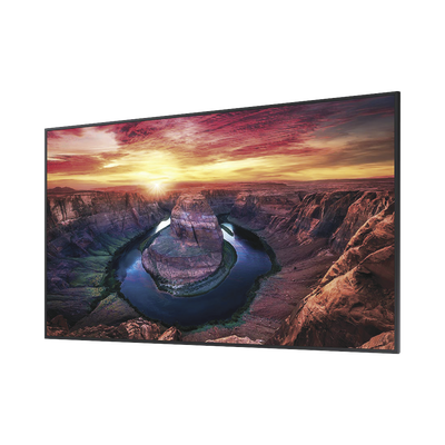 Pantalla Profesional LED de 32