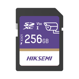 Memoria SD Clase 10 de 256 GB / Especializada Para Videovigilancia