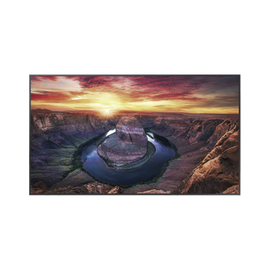 Pantalla Profesional LED de 50