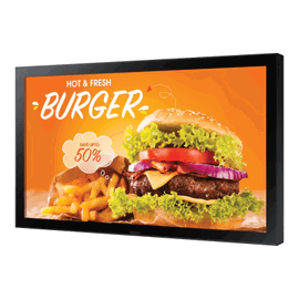 Pantalla Profesional LED 24