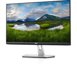 Dell S2421HN - Monitor LED - 23.8