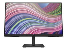 HP P22 G5 - P-Series - monitor LED - 21.5