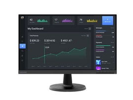 Lenovo ThinkVision C24-40 - 23.8