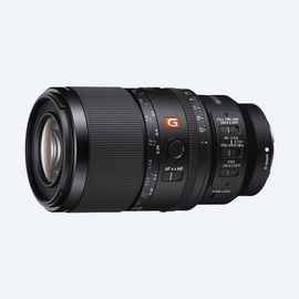 FE 100mm F2.8 Macro GM OSS