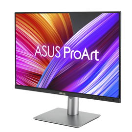 ASUS ProArt PA248CRV - Monitor LED - 24.1