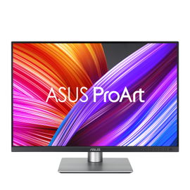 ASUS ProArt PA248CRV - Monitor LED - 24.1