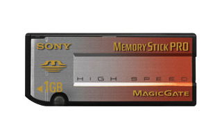 Sony - Tarjeta de memoria flash - 1 GB - MS PRO - para Cyber-shot DSC-P100, P150, P200, P41, P73, P93, S40, S90, V3, W1, W15, W17, W1S, W5, W7