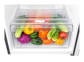 LG - Refrigerator - Top Freezer 11 cuFt