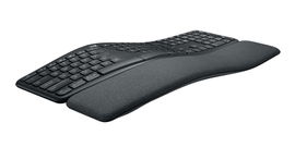 Ergo K860 for Business (Graphite) Spanish Layout Ergo K860 for Business (Graphite) Spanish Layout