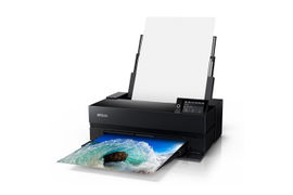 Epson SureColor P900 - 17