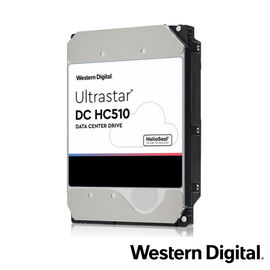 DD DISCO DURO 10TB 3.5