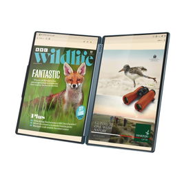 Lenovo YOGA Book - Notebook - 15.6 Lenovo YOGA Book - Notebook - 15.6