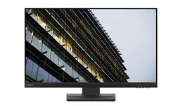 Lenovo ThinkVision E24-29 - 23.8