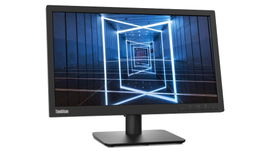 Lenovo ThinkVision E20-30 - Monitor LED - 20