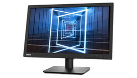 Lenovo ThinkVision E20-30 - Monitor LED - 20