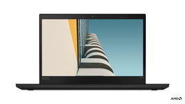 Lenovo ThinkPad T495 - Notebook - 14