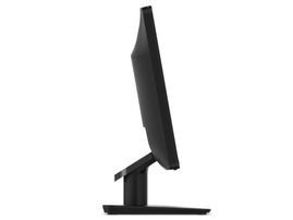 Lenovo D19-10 - Monitor LED - 18.5