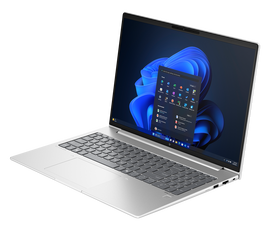 HP EliteBook 660 G11 Notebook - 16